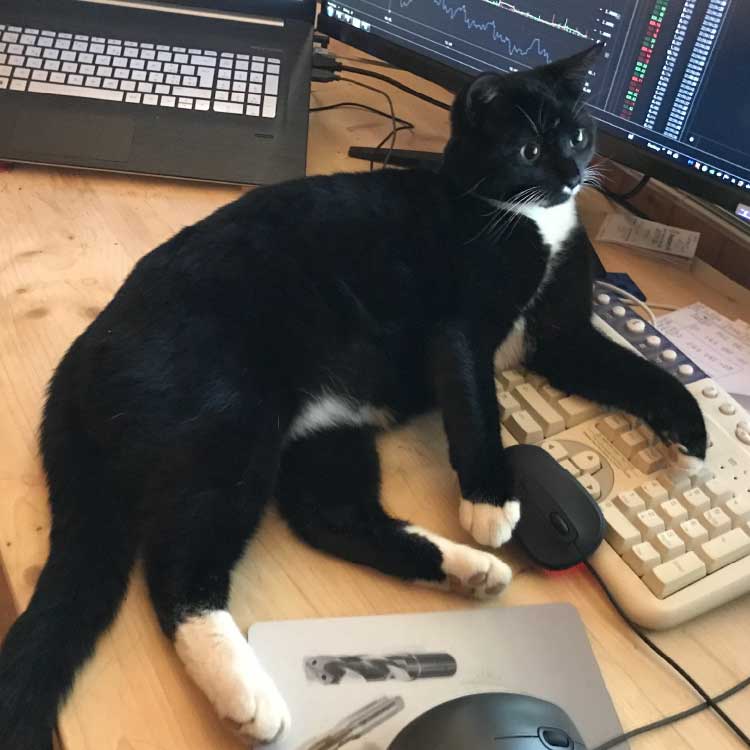 img 2